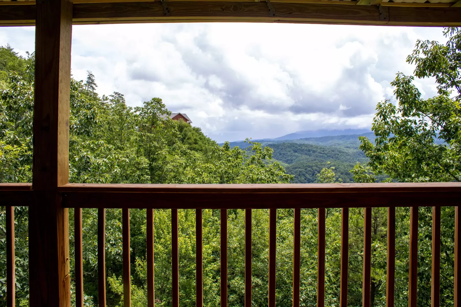 Smokin' View
