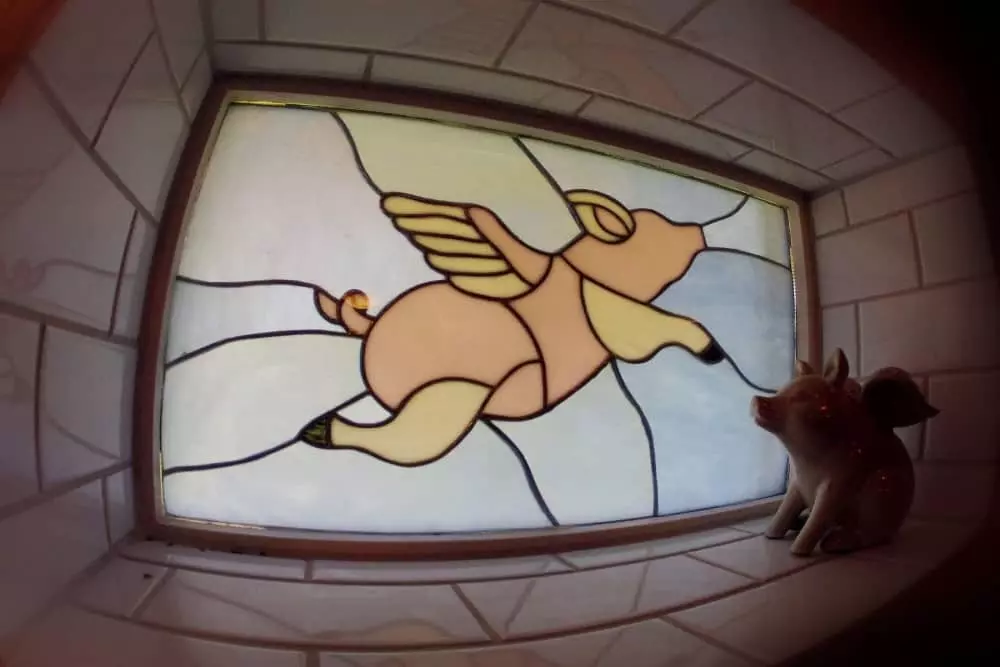 The Flying Piggy