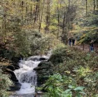 Joyful Haven