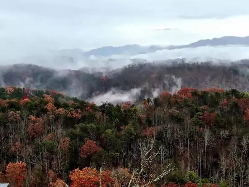 Mountain Wonder