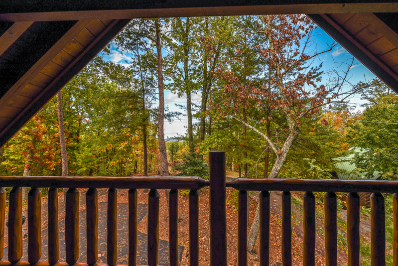 Black Bear Loft
