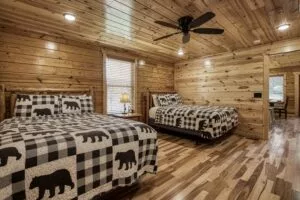 Bear Necessities