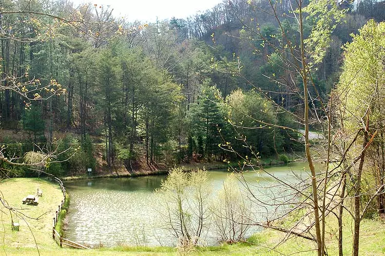 Belle of The Valley