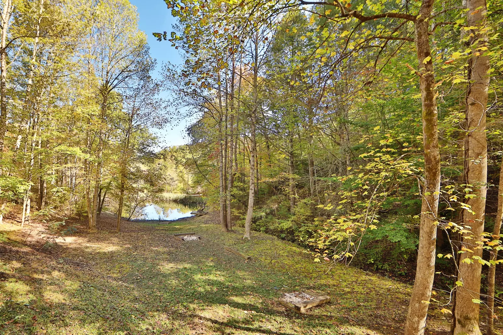 Enchanted Forest