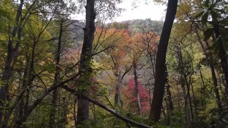 Serenity Breeze Cabin