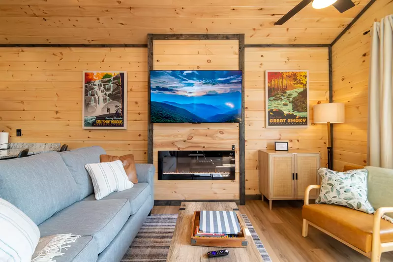 65" Smart TV/Electric Fireplace