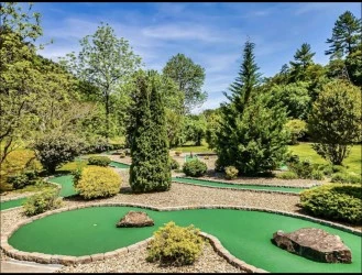 Free Miniature Golf.  Putters and balls provided in cabin.