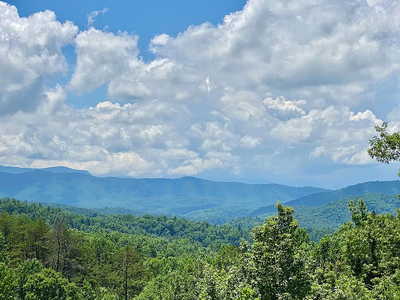 Take in this view from the middle of the porch.