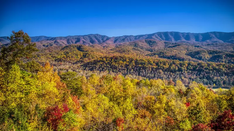 Unobstructed Panoramic View