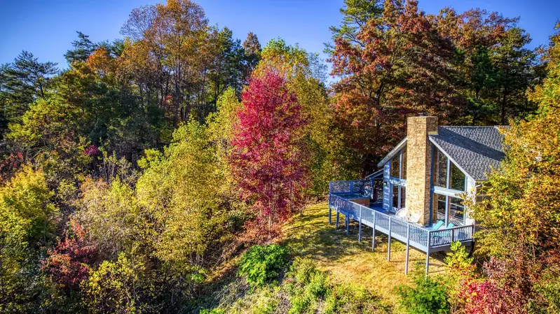 Secluded Cabin