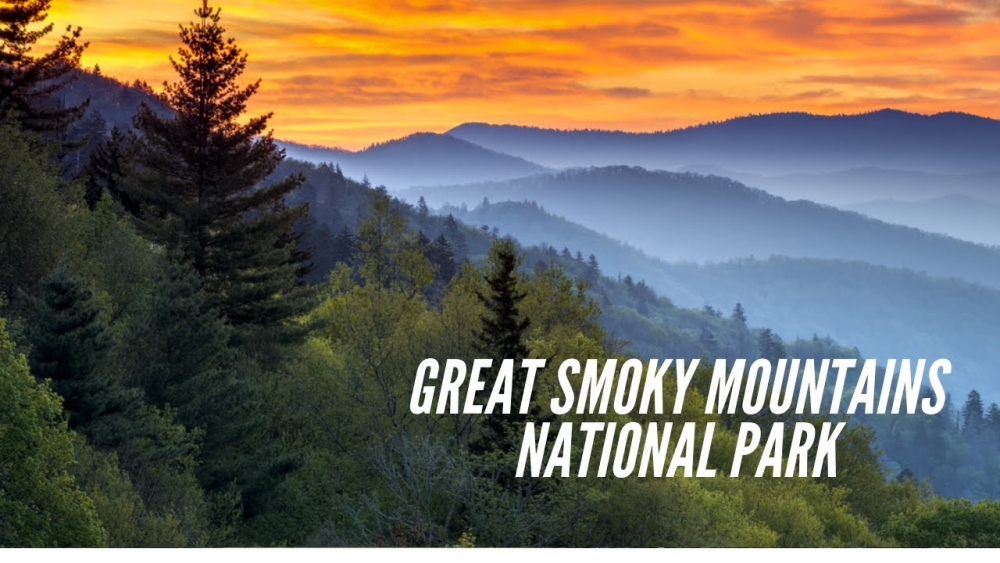 Laurel Creek Lodge
