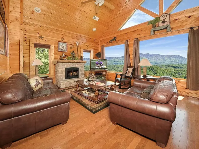 Living Room with a view