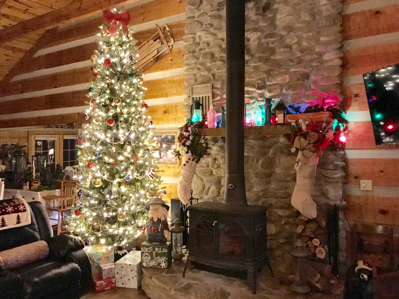 6 Christmas Trees and tons of decorations