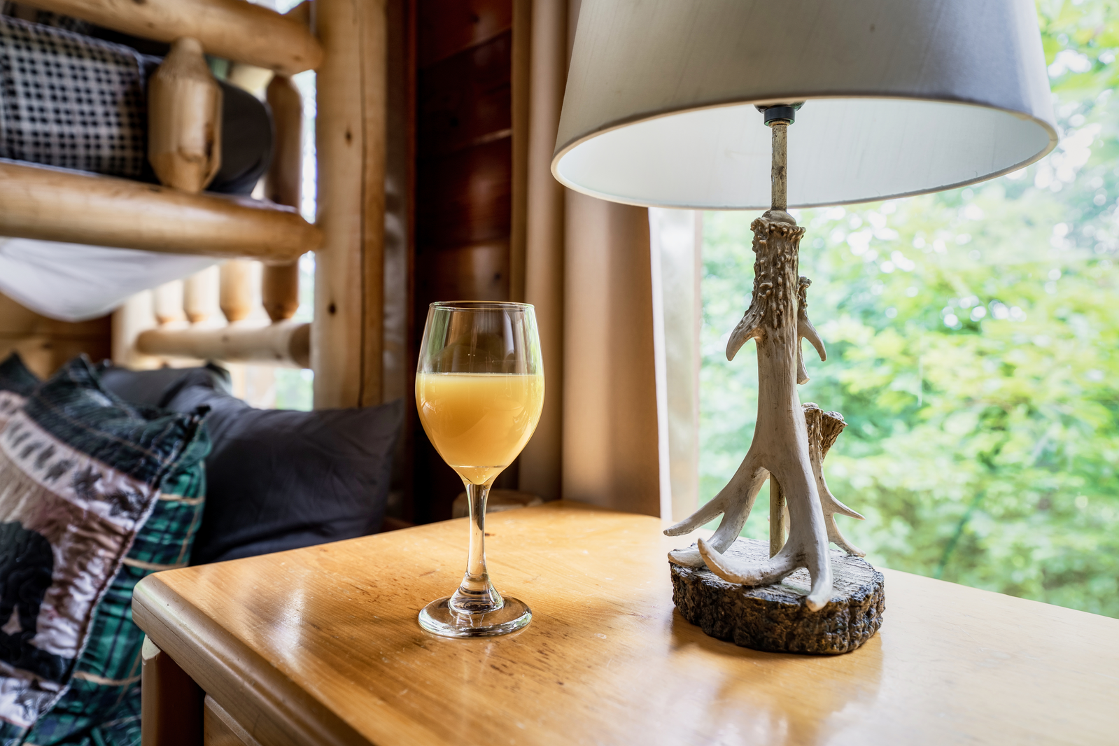 Leconte Hideout