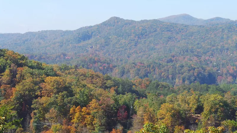 Smoky Mountain Majesty