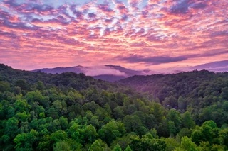 LeConte Lookout