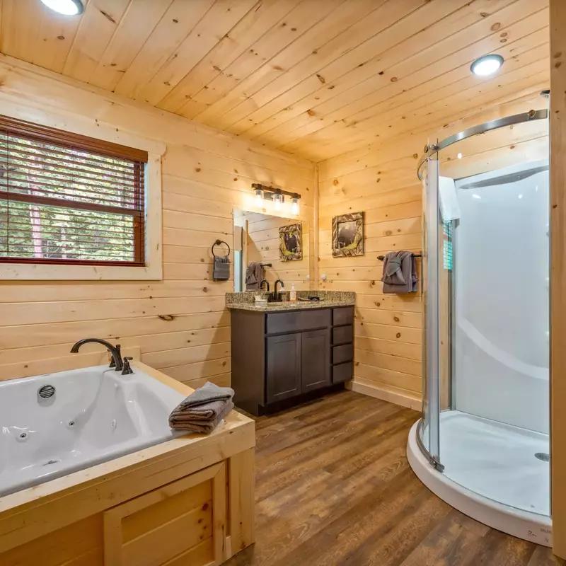 Primary Bathroom Downstairs, Ensuite