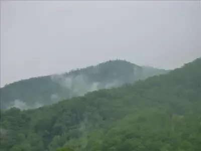 Scenic Sanctuary