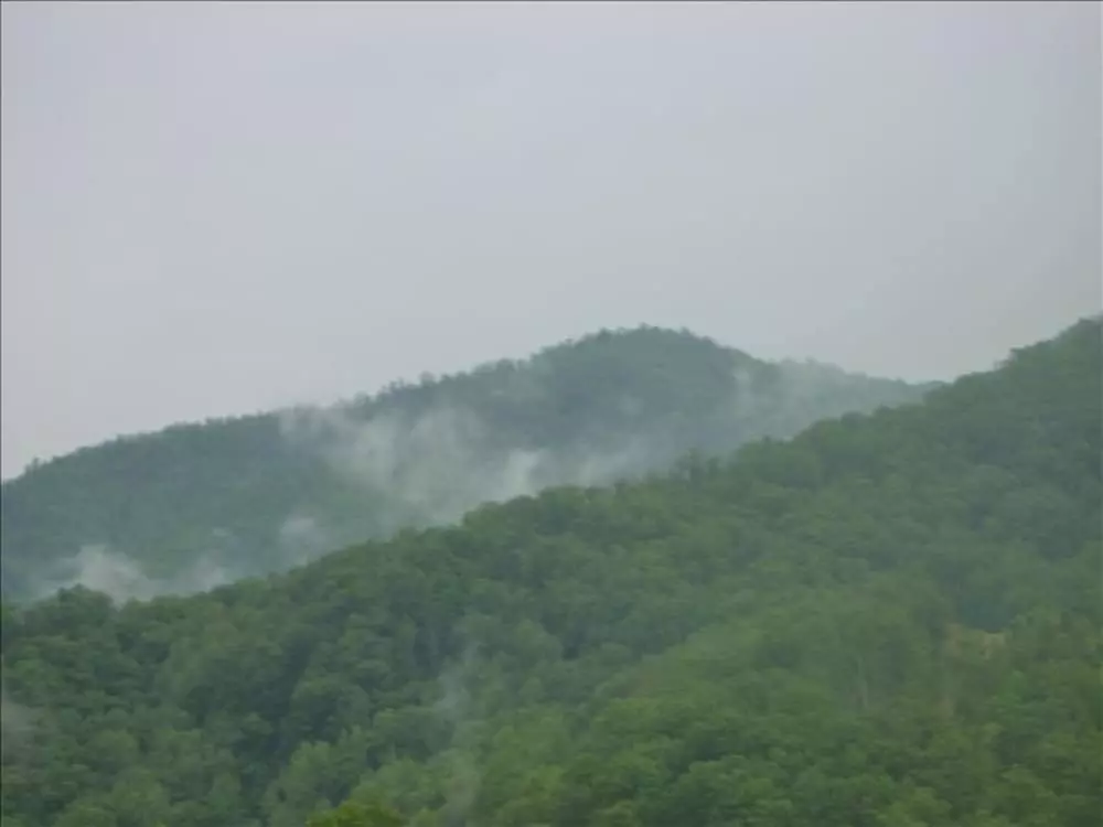 Scenic Sanctuary