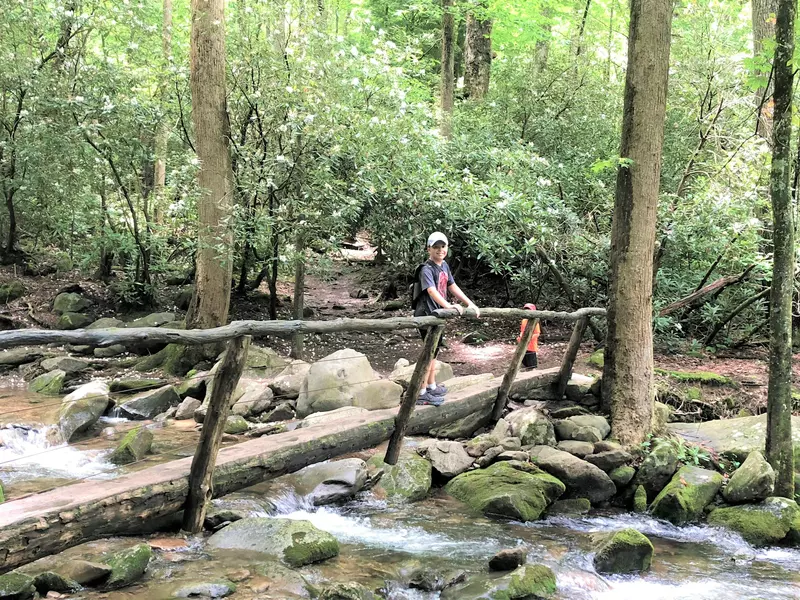 Or venture onto the trailheads along Roaring Fork to soak in the scenery at ground level