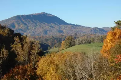 Nature's View