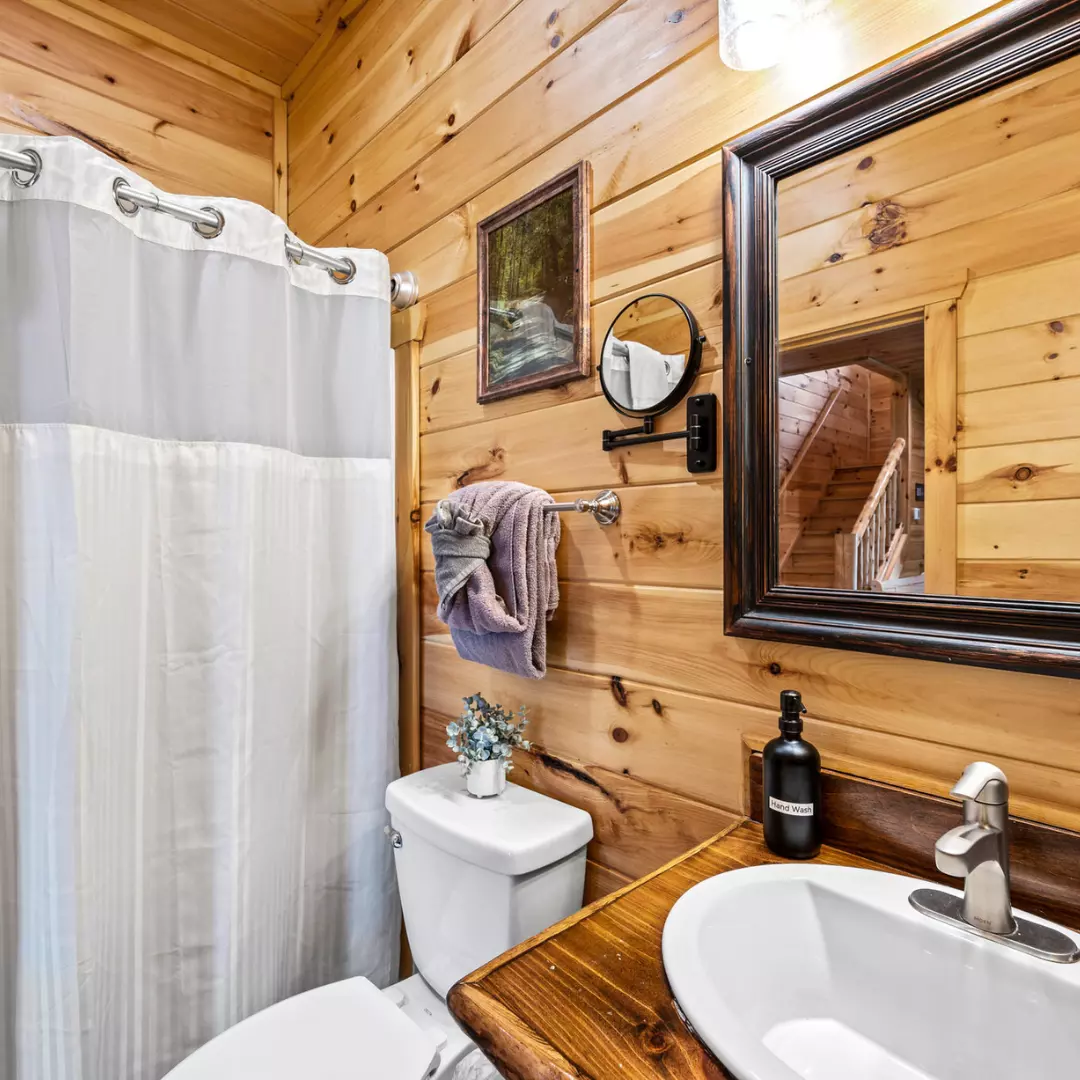 Lower Level Bathroom