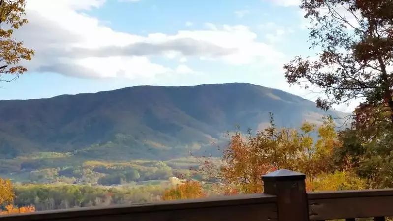Mt View Hideaway