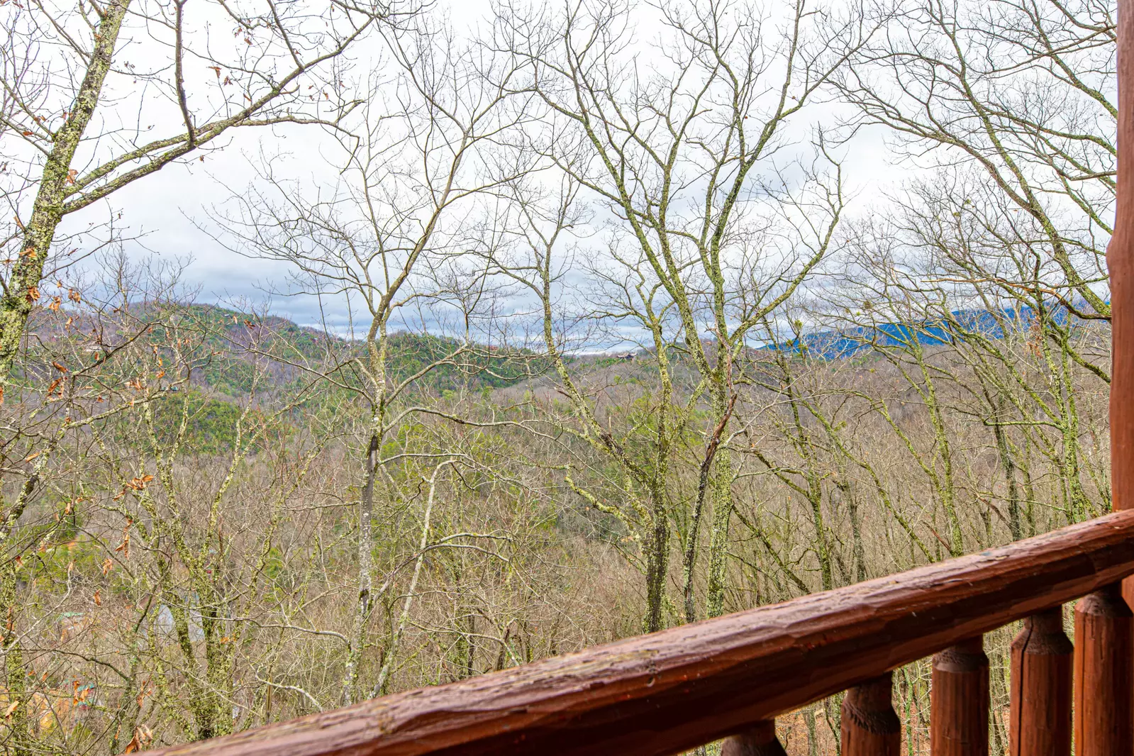 Mountain Views from back of cabin