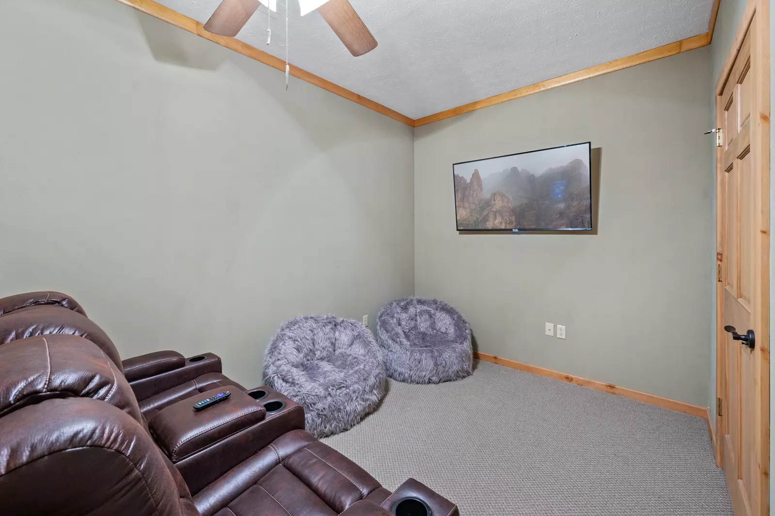 TV room on bottom level