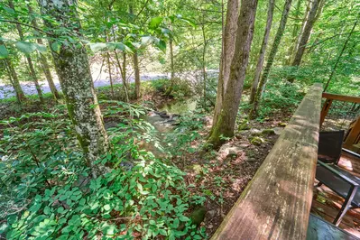 Property image, Interior, of Shady Creek