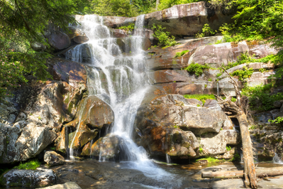ramsey cascades is one of the top smoky mountain hiking trails