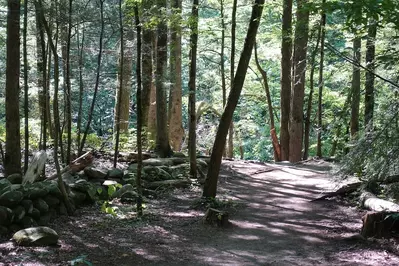 gatlinburg trail is one of the best hikes in the Smoky Mountains