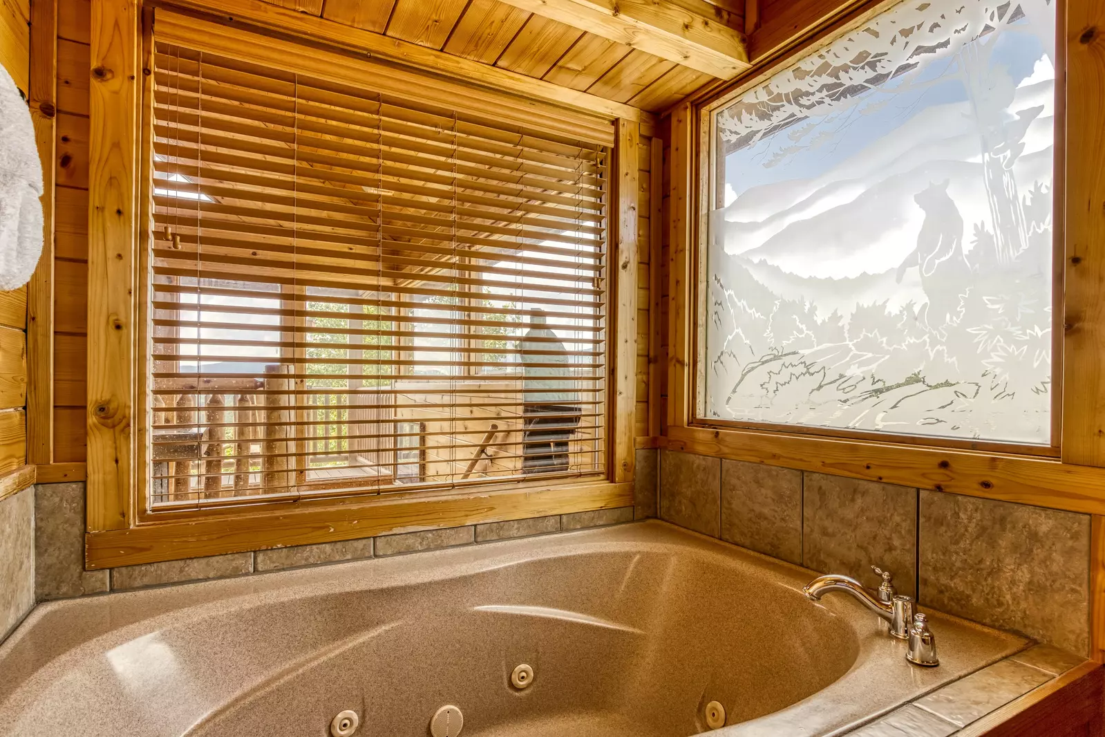 Awesome Views upper level bathroom with Jacuzzi with mountain views