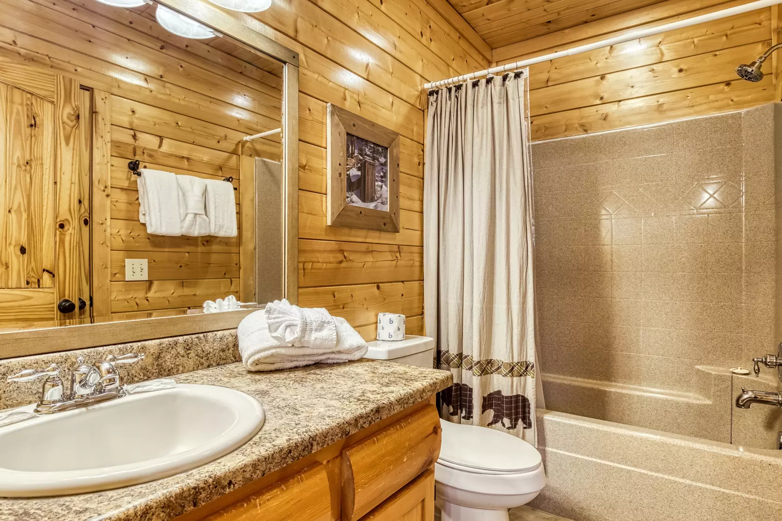 Awesome Views lower level bathroom with tub/shower combo and single vanity