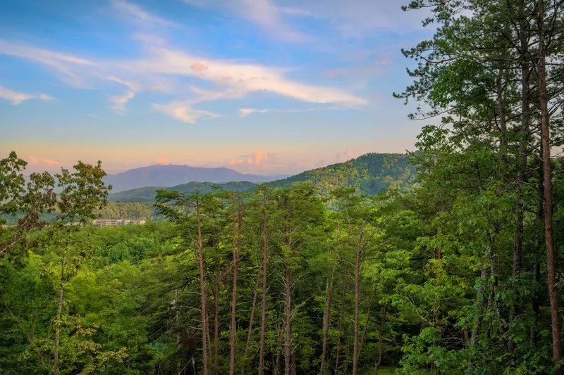 Mountaintop Island Views