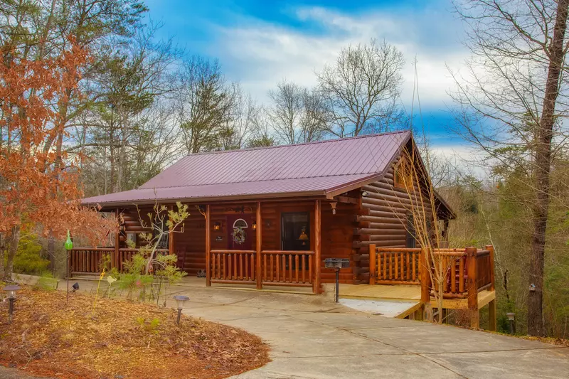 Jackson's Starry Nite Sky