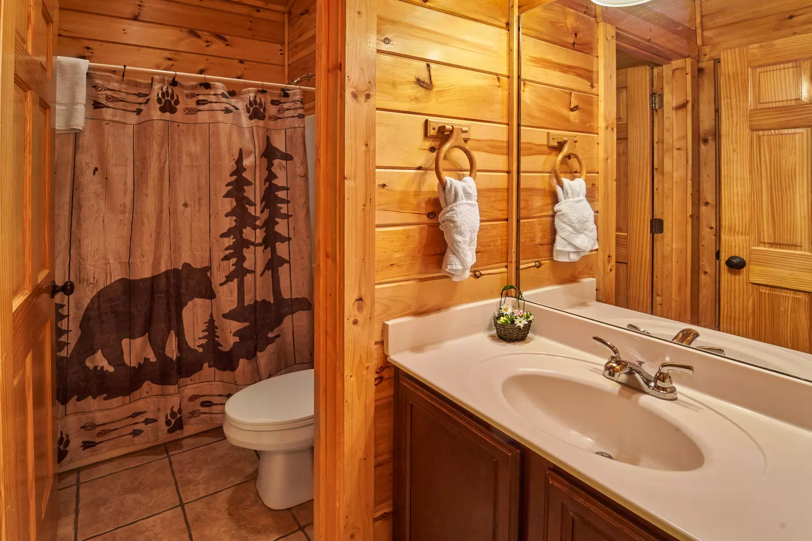 Property image, Interior, of Fire in the Sky