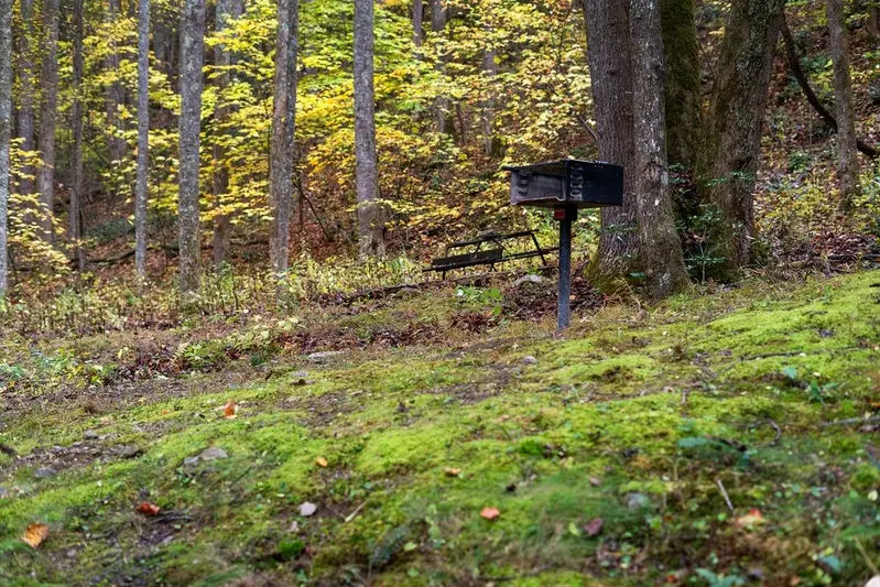 Little Mountain Hideaway