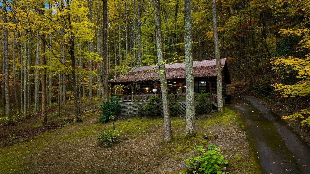 Little Mountain Hideaway