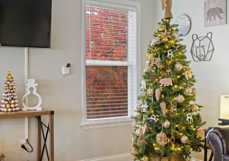 Bluff Mountain Escape