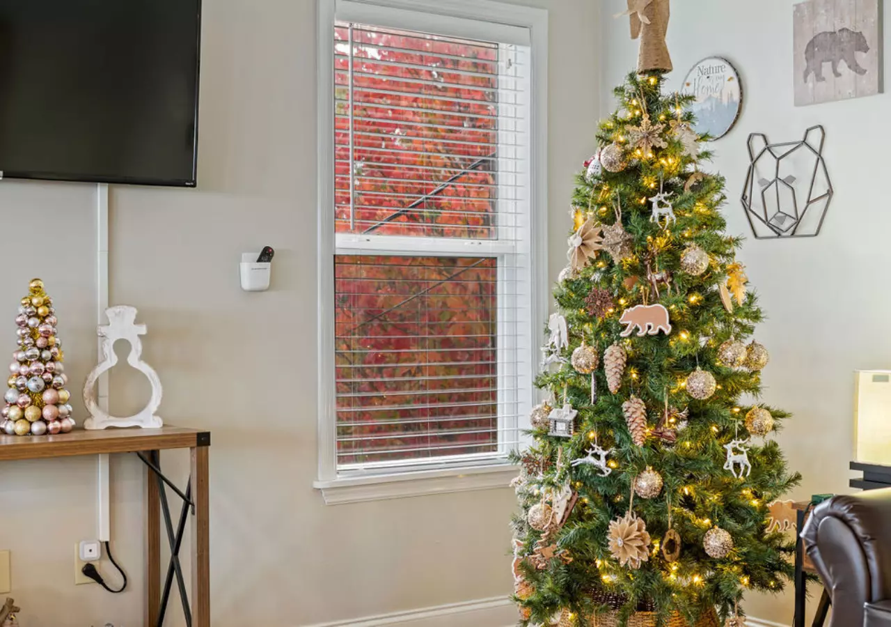 Bluff Mountain Escape