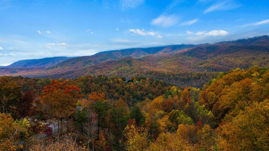 Smoky Mountain Dream