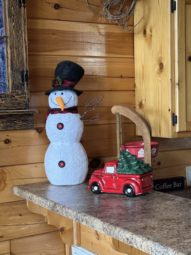 Bear's View Winterfest decorations