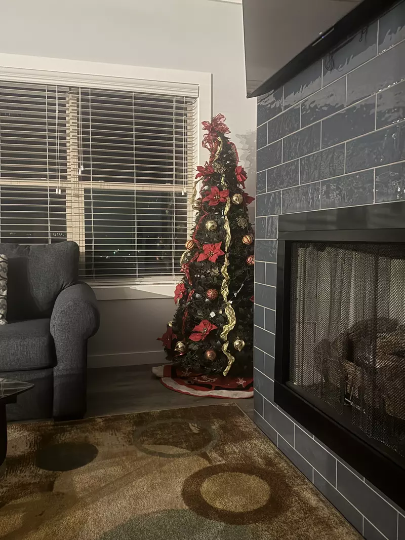 Lake View Therapy Winterfest decorations