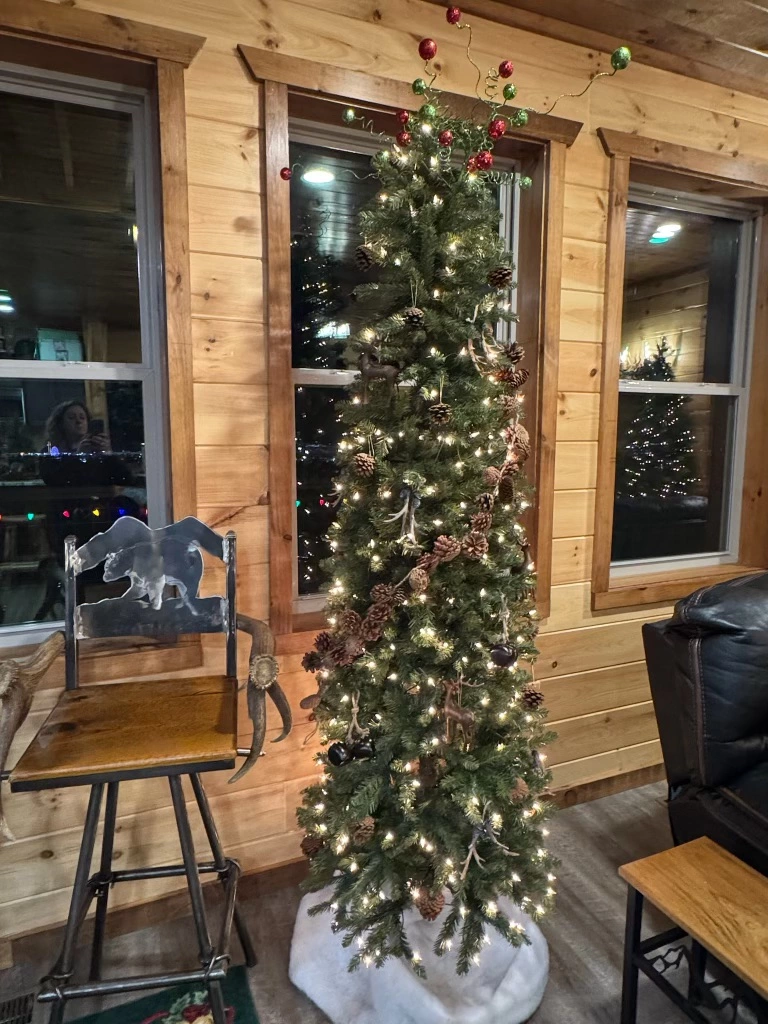 MounTown Moments Vista Winterfest decorations