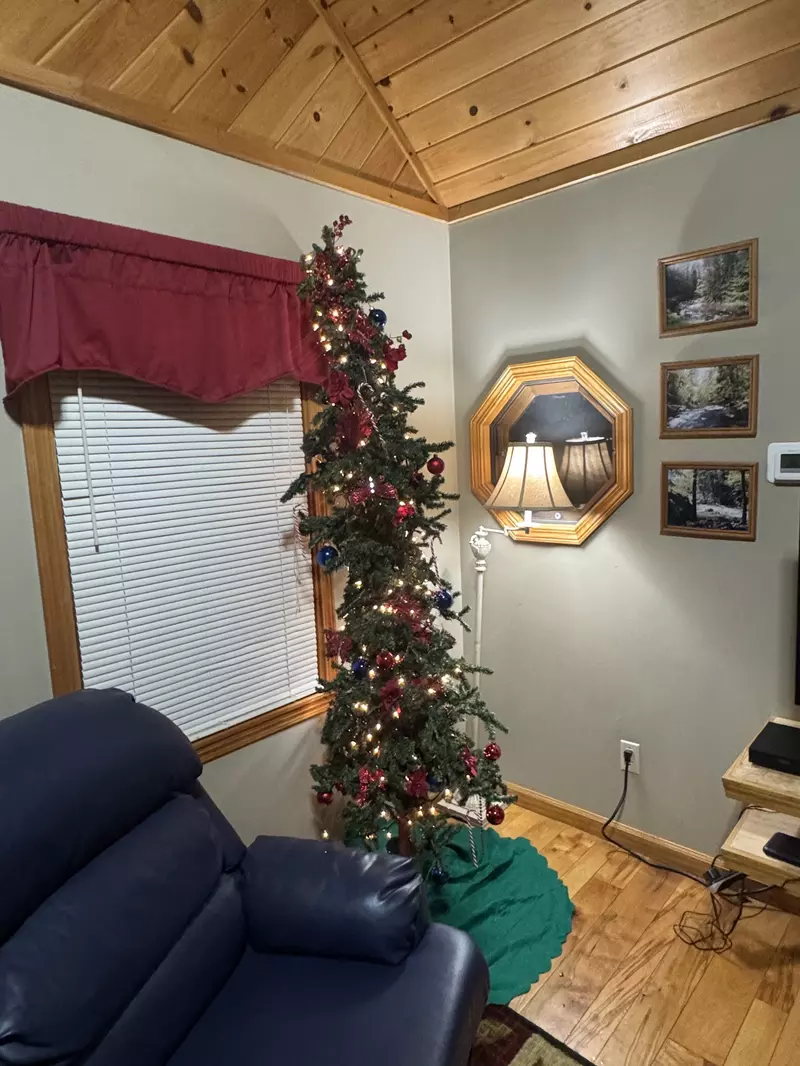 Allen Hideaway Winterfest decorations