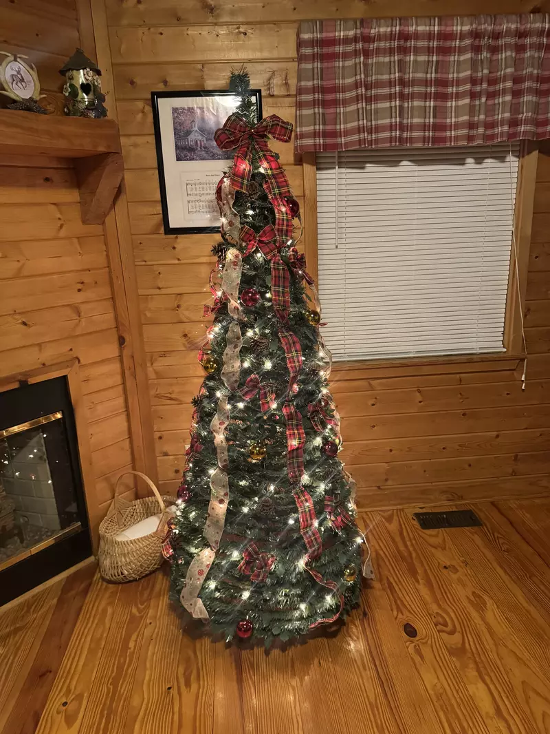 Sweet Mountain Aire Winterfest decorations