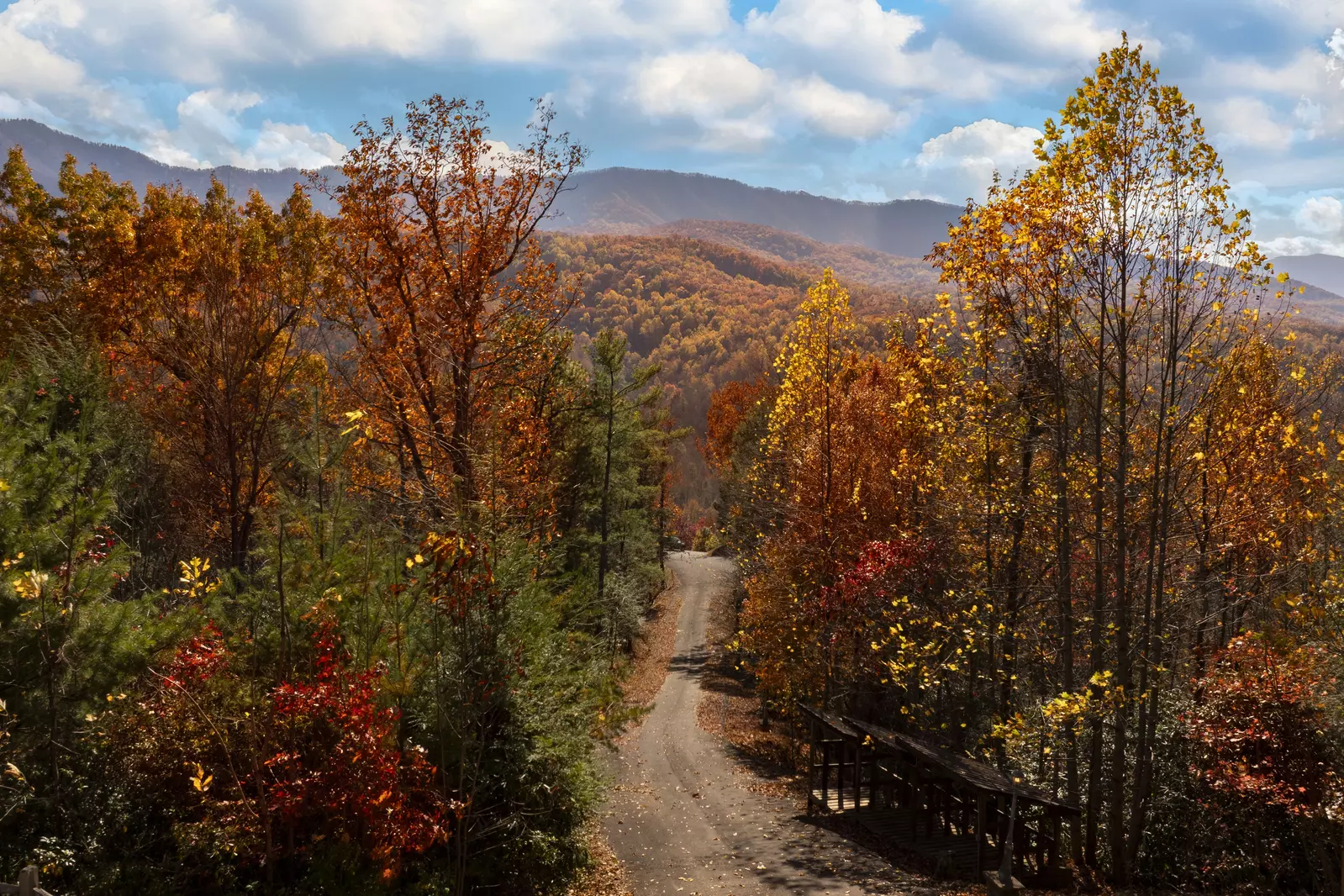 Property image, Interior, of Livin It Up