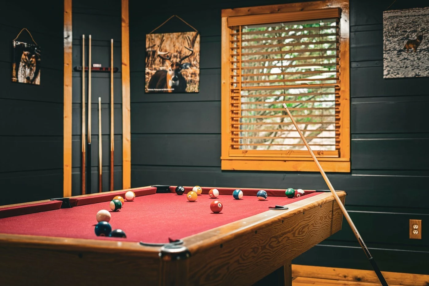 Poplar + Pine:  The Heart of the Smokies