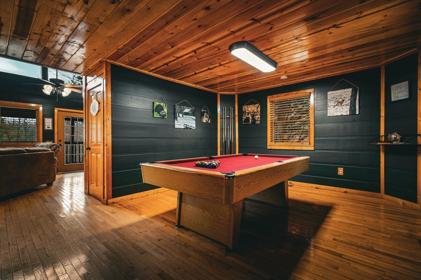 Poplar + Pine:  The Heart of the Smokies